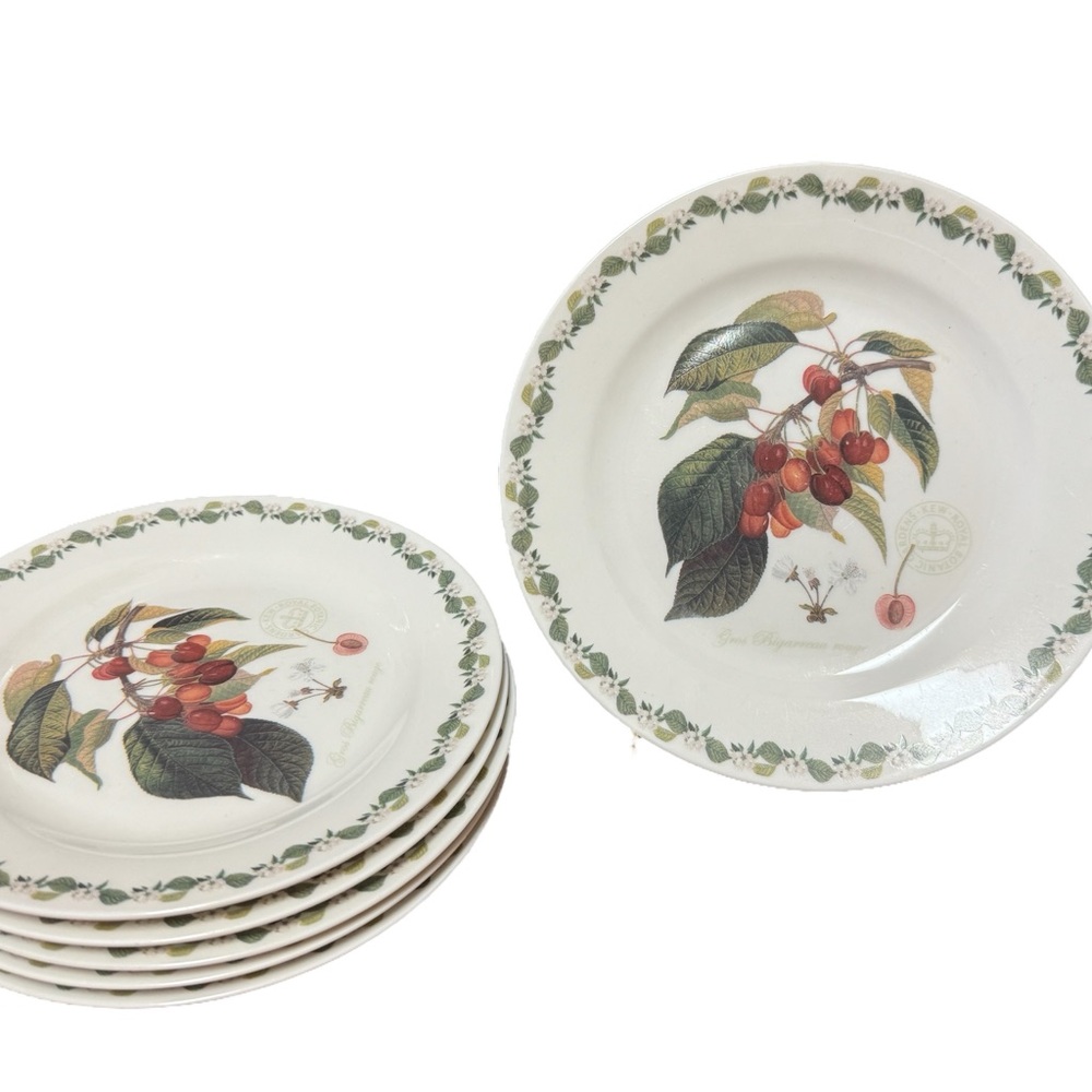 Royal Botanic Gardens Kew  by Rosina-Queens 8" Salad Plates Set of 6